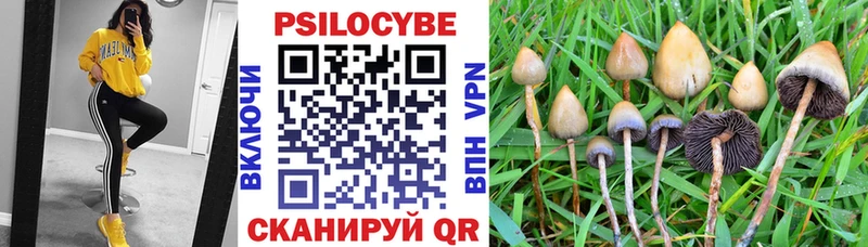 Галлюциногенные грибы мухоморы  hydra   Чаплыгин 